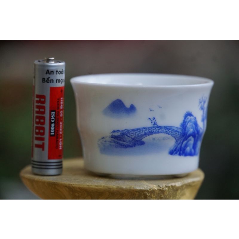 Chậu mini vẽ cảnh