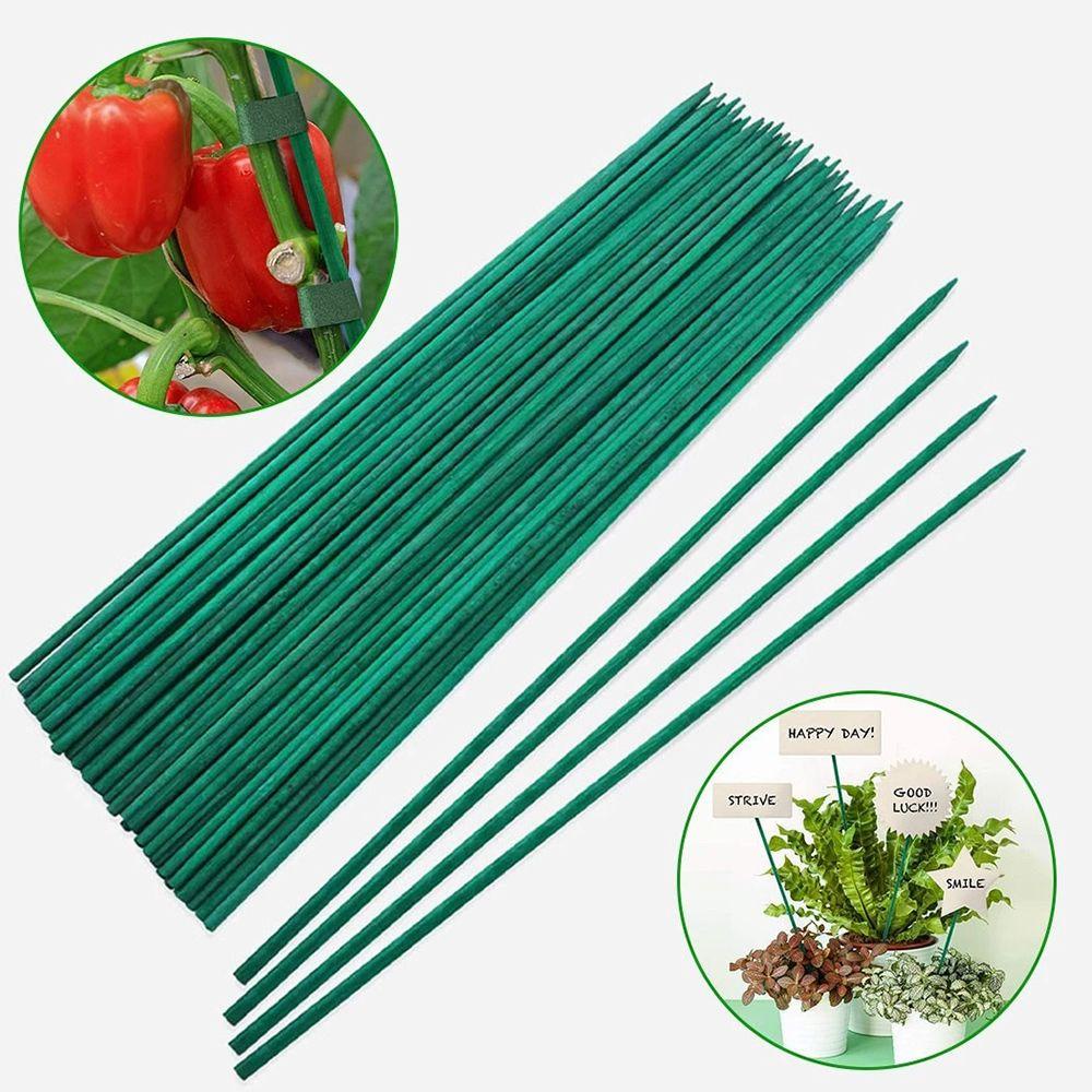 Bộ 10/30 Thanh Tre Dùng Để Trồng Cây Trang Trí Nhà|Giá Cố Định Cây Hoa Chất Lượng Cao