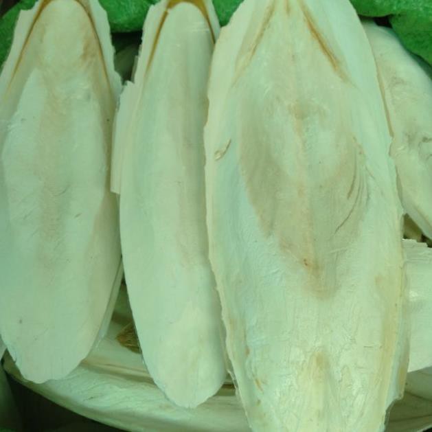 Nang mực- mai mực dùng cho chim - dùng trong đông y- làm sương sâm[100g]