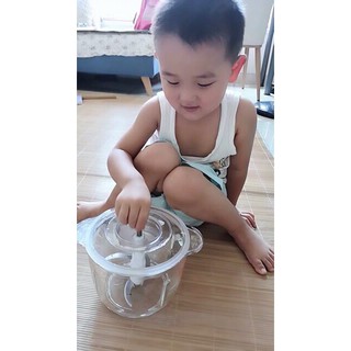 Máy xay thịt cá đa năng Bear cối thủy tinh 2 lít
