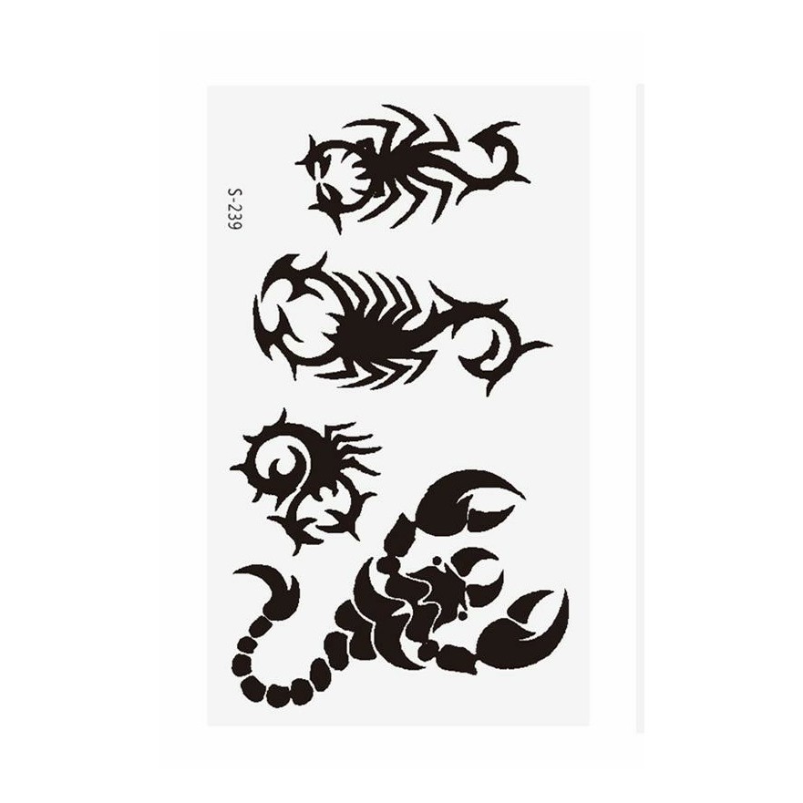 Hình xăm dán Tatto hình bọ cạp D07