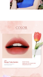 Son Kem BLACK ROUGE VER 6