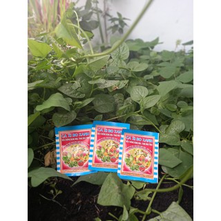 Phân Bón Lá Canxibo Xanh Chống Rụng Hoa Tăng Đậu Trái Cho Rau, Củ và Hoa Màu 10Ml