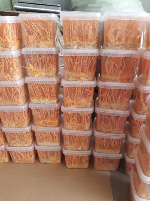 Đông Trùng Hạ Thảo hộp To 200g chỉ giao miền bắc