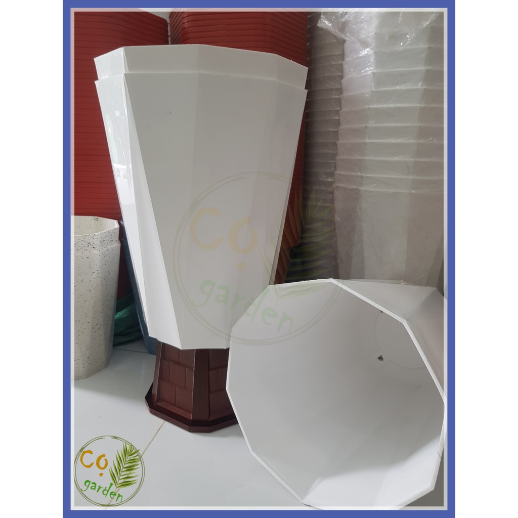 Chậu Nhựa Kim Cương Trắng 10 cạnh size Đại 44x35 - Cọ garden