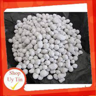 100g phân bón tan chậm MagampK Nhật Bản ( phân trắng Nhật)