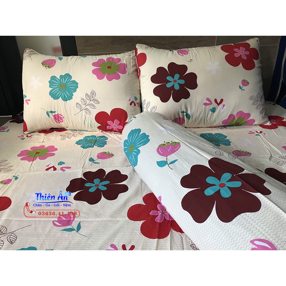 Bộ Drap Cotton Thắng Lợi hoa đỏ