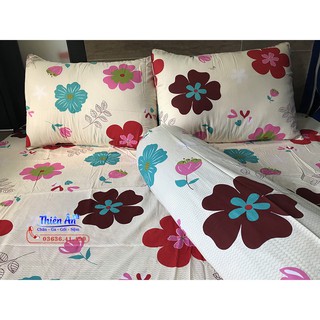 Bộ Drap Cotton Thắng Lợi hoa đỏ