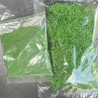 Cỏ sợi, rêu trang trí gốc cây