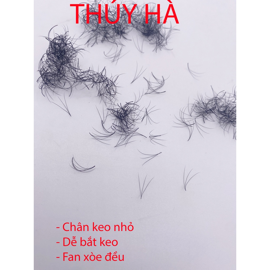Mi fan 3D (1000fan)_dụng cụ nối mi_THÚY HÀ