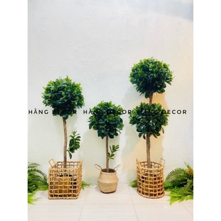 Sọt lục bình, giỏ lục bình đan thưa Hằng decor