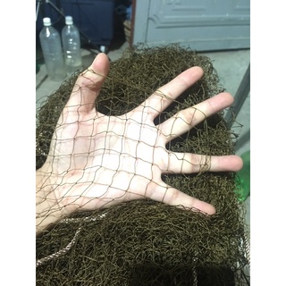 lưới úp chim sẻ