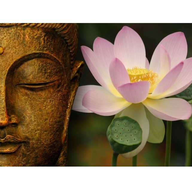 Cửa Hàng Phật Giáo Mật Tông 