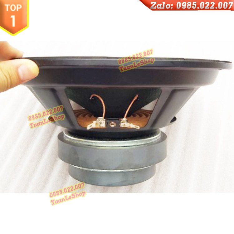 LOA BASS 25.5CM, LOA BASS 25 GÂN MÚT CÔN 36 - LOA BASS 25 TỪ KÉP 126-100 - GIÁ 1 CỦ