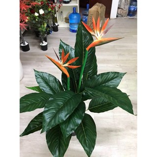 Cây thiên điểu 1m - cây giả decor