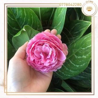 Hoa trà mao lương- Đầu bông[hoa giả- hoa lụa]