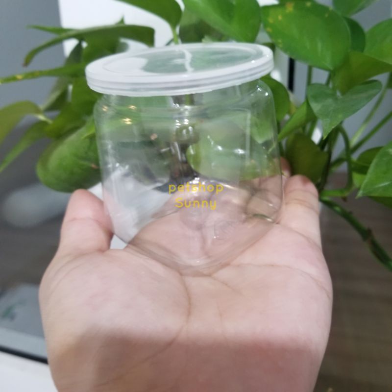 Combo10 Hũ nhựa pet trong suốt đáy tròn/ vuông xinh xắn