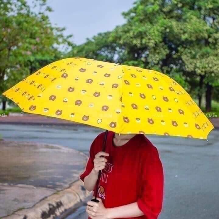 Ô, dù gấu Brown chống UV