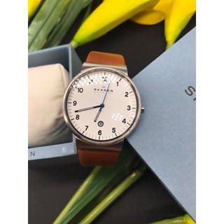 Đồng hồ nam Skagen SKW6082