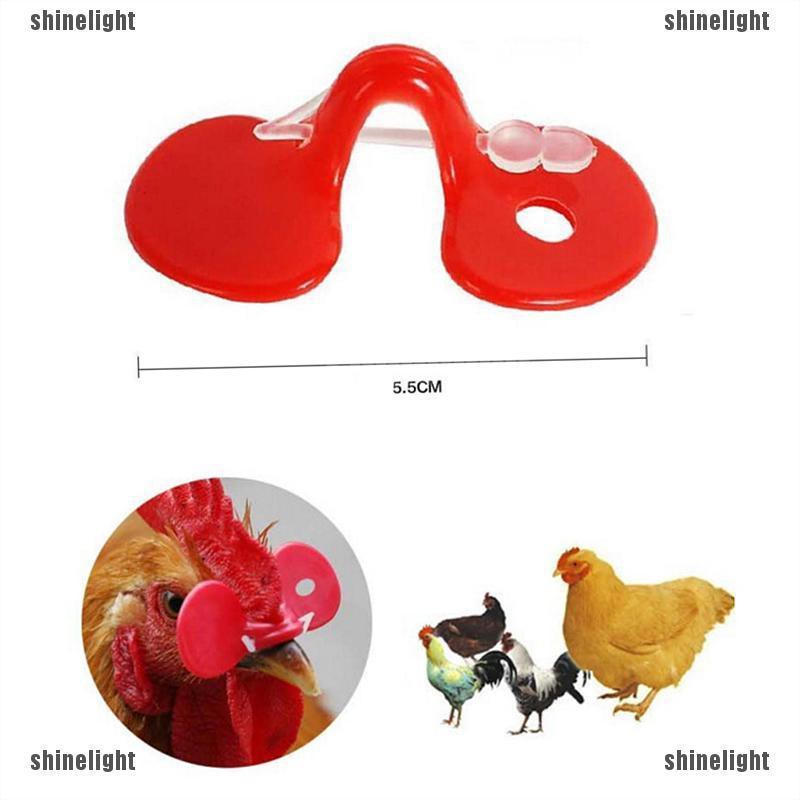 Set 10 mắt kính sáng tạo dành cho gà nuôi tránh tình trạng mổ nhau 55mm