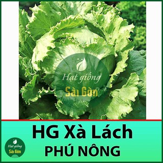 Hạt Giống Xà Lách Búp Minetto Giòn, Ngọt, 2Gr
