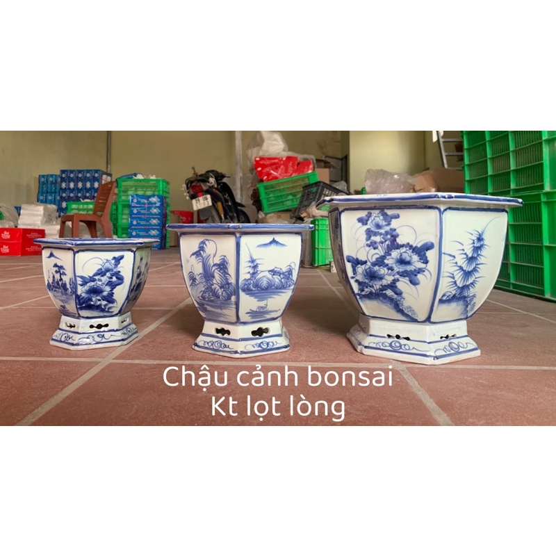 Chậu trồng cây bonsai men lam cung đình Huế