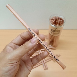 Hộp 50 bút chì gỗ cao cấp 2B