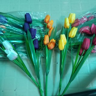 cụm 5 hoa tulip