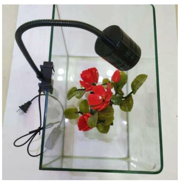 Đèn led rọi nắng 3 màu thủy sinh 3/5/7 W