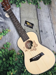 Đàn Ukulele Concert MTB-800 CB1