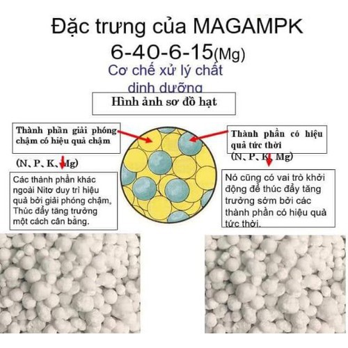 Phân trắng Nhật Bản Magampk 6-40-6-15 kích thích ra rễ, khỏe cây, xanh lá