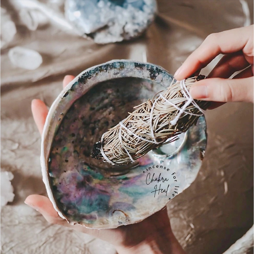 Green, Pink Abalone Sea Shell - Vỏ Bào Ngư Dụng Cụ Thanh Tẩy Năng Lượng l Chakra Heal Incense