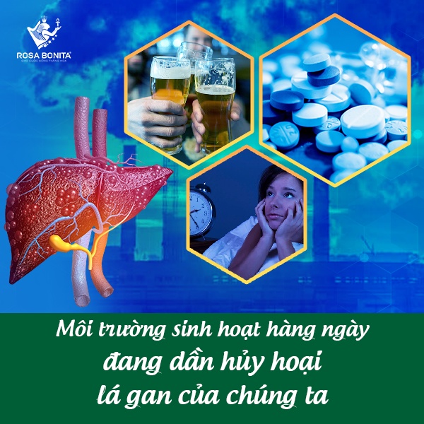Viên uống giải độc gan Liver Protect làm mát gan tăng cường chức năng gan lọ 60 viên Rosa Bonita