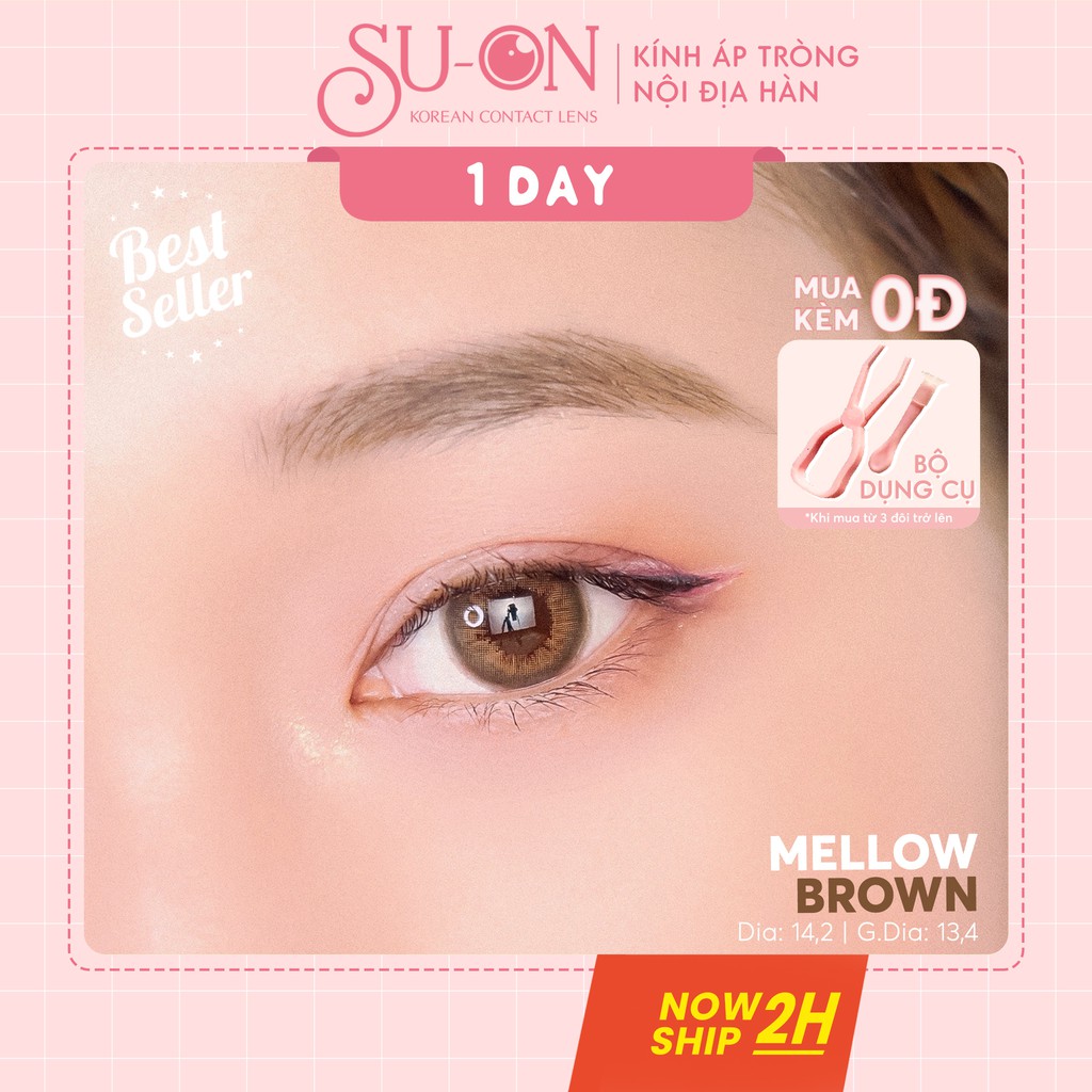 [Video thật] Lens 1 ngày Ann365 MELLOW BROWN áp tròng 14,2mm, nâu tây tự nhiên, siêu êm đeo 24h