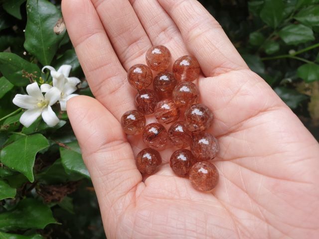 Hạt tóc đỏ 6.5 - 10.5 li