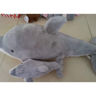 Gấu bông cá heo