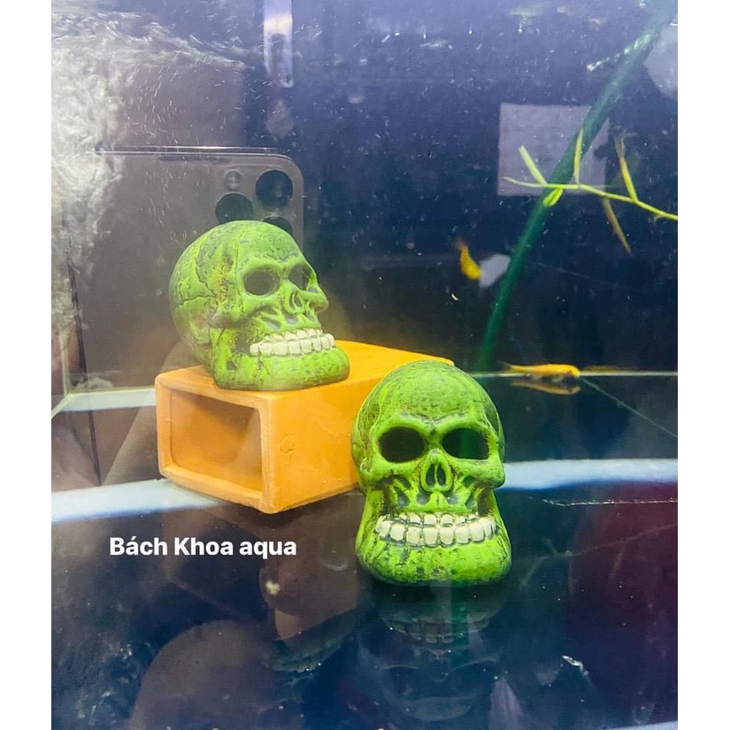 Đầu lâu gốm trang trí bể cá