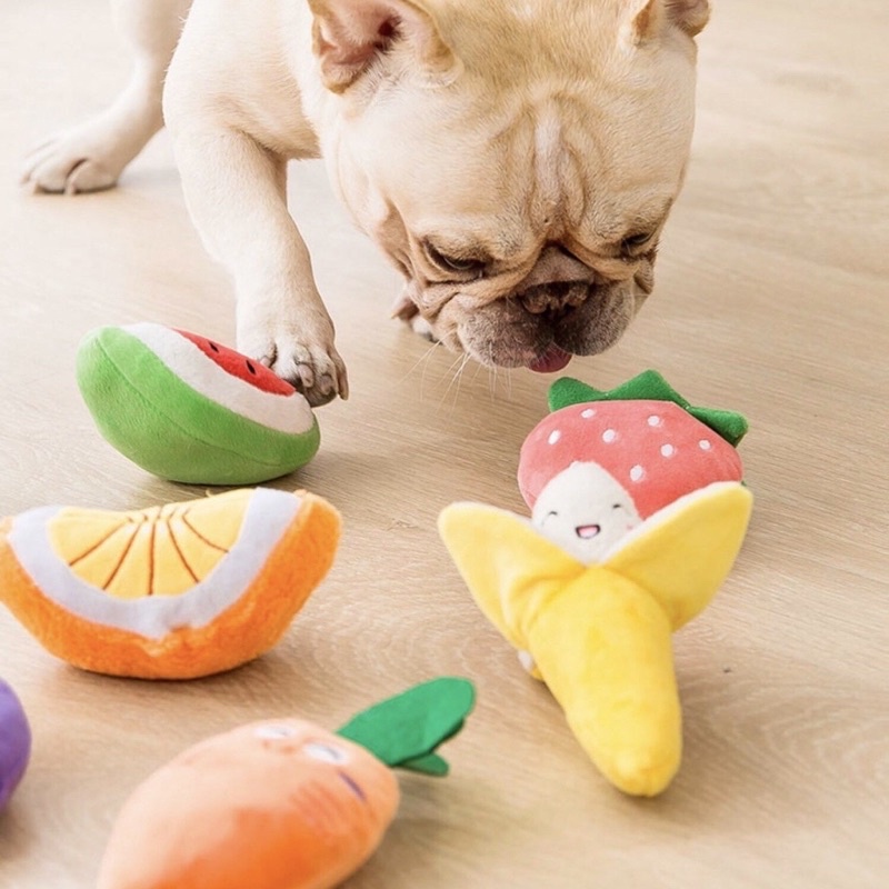 Đồ chơi nhồi bông chíp chíp  dễ thương dành cho thú cưng - 4pets official
