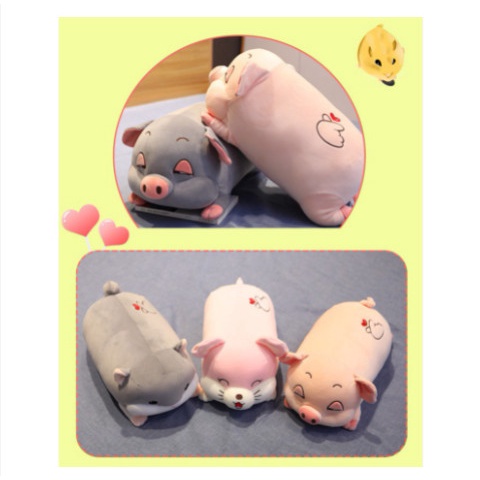 Sét Chăn Gối Heo Văn Phòng Hình Lợn Con Dễ Thương - Chăn Gối 2in1 Hình Heo Con, Heo Hồng 50cm Kèm Mền Màu 1m7
