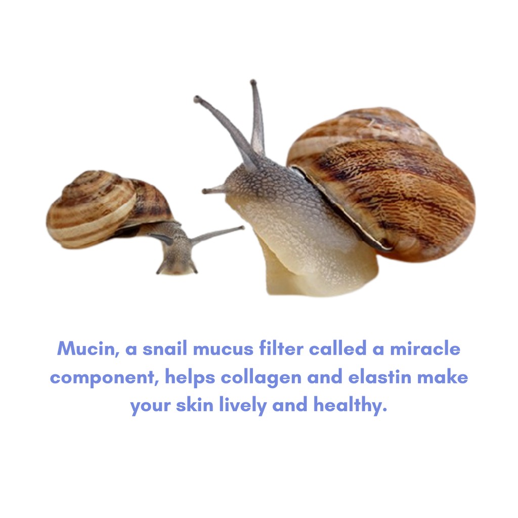 [EUNYUL] Bộ 5 mỹ phẩm Snail Basic