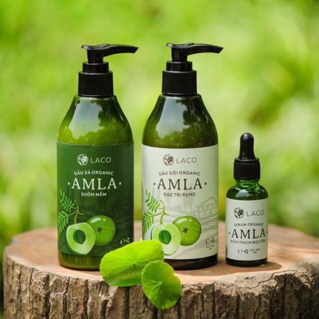 Bộ dầu gội amla