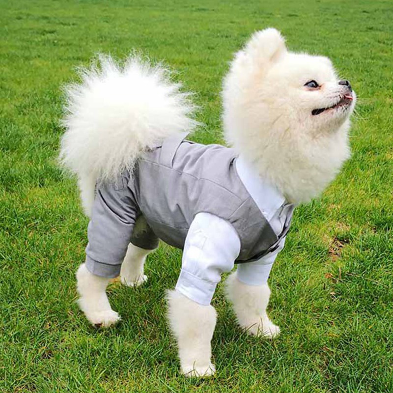 Áo Vest LịCh Sự Cho Thú Cưng