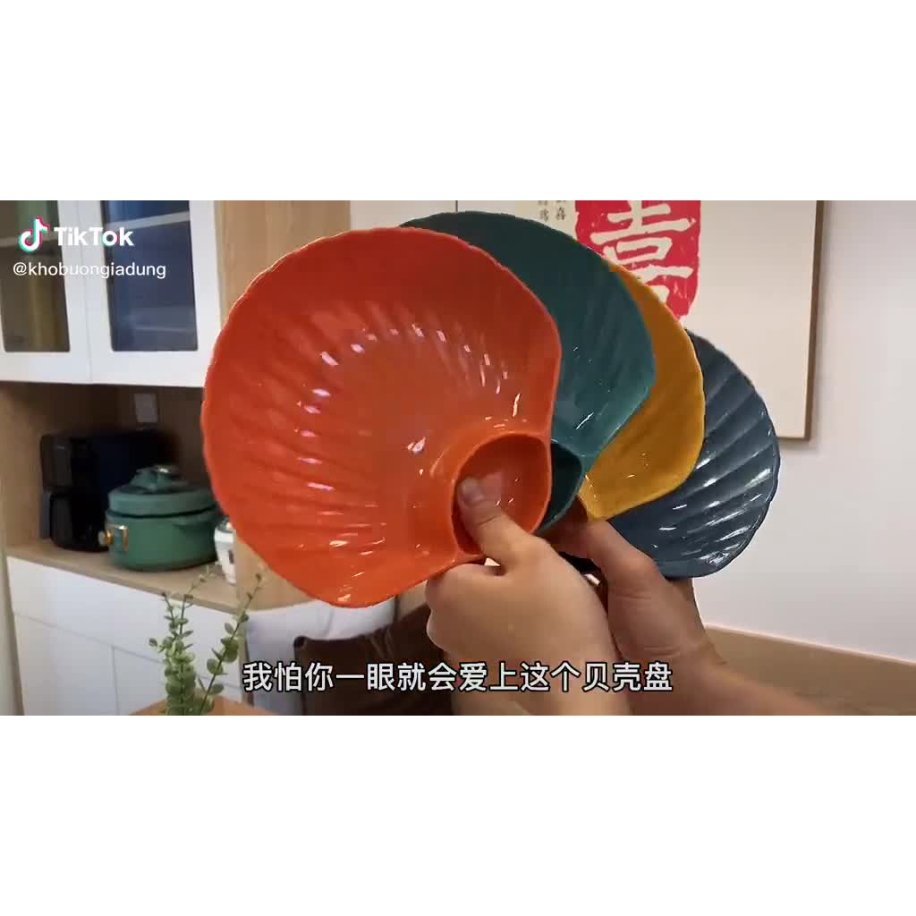 MVP996 Set 4 đĩa vỏ sò xịn xò bốn màu size 19cm x 17cm x 3cm