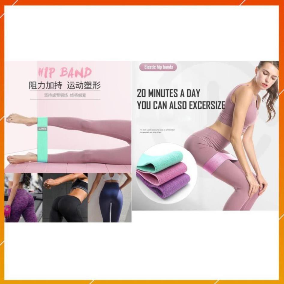 [Freeship] - Dây đàn hồi kháng lực tập mông, đùi, hông  Miniband AOLIKES 3604 chuyển gym.