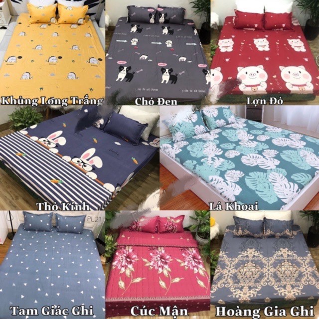 Ga gối poly bộ ga gối Cotton Hàn Quốc đáng yêu miễn phí bo chun drap ga giường