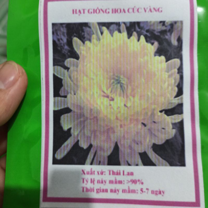 Hạt giống hoa cúc Anh, vạn thọ mỹ mix, thúy điệp,cúc đại đoá vàng, magic,mâm xôi, thân gỗ