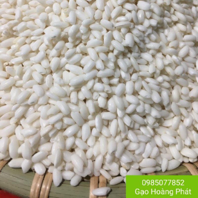 Nếp Bắc Loại 1- Bao Dẻo Ngon (Túi 1kg).