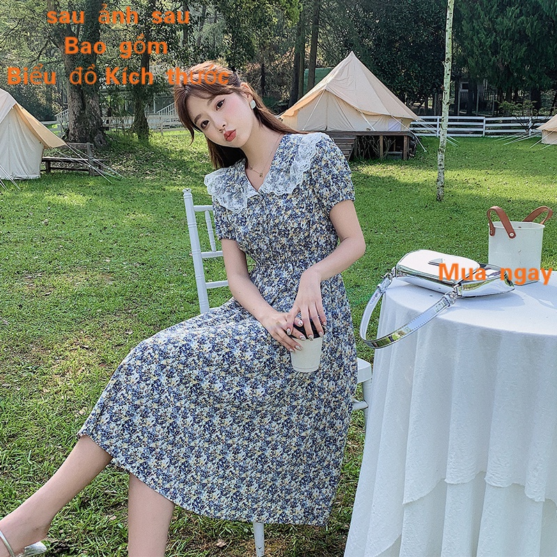 Đầm Chữ A Dáng Dài Vải Voan Phối Ren Cổ Búp Bê In Họa Tiết Hoa Kiểu Hàn Quốc Thời Trang Cho Nữ