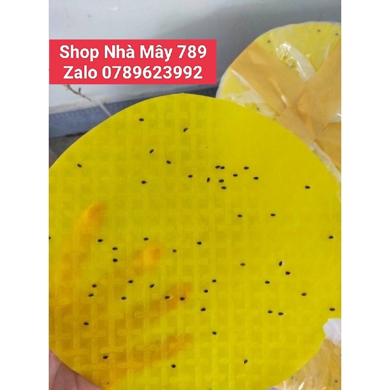 500g bánh tráng nướng mè vàng 30k