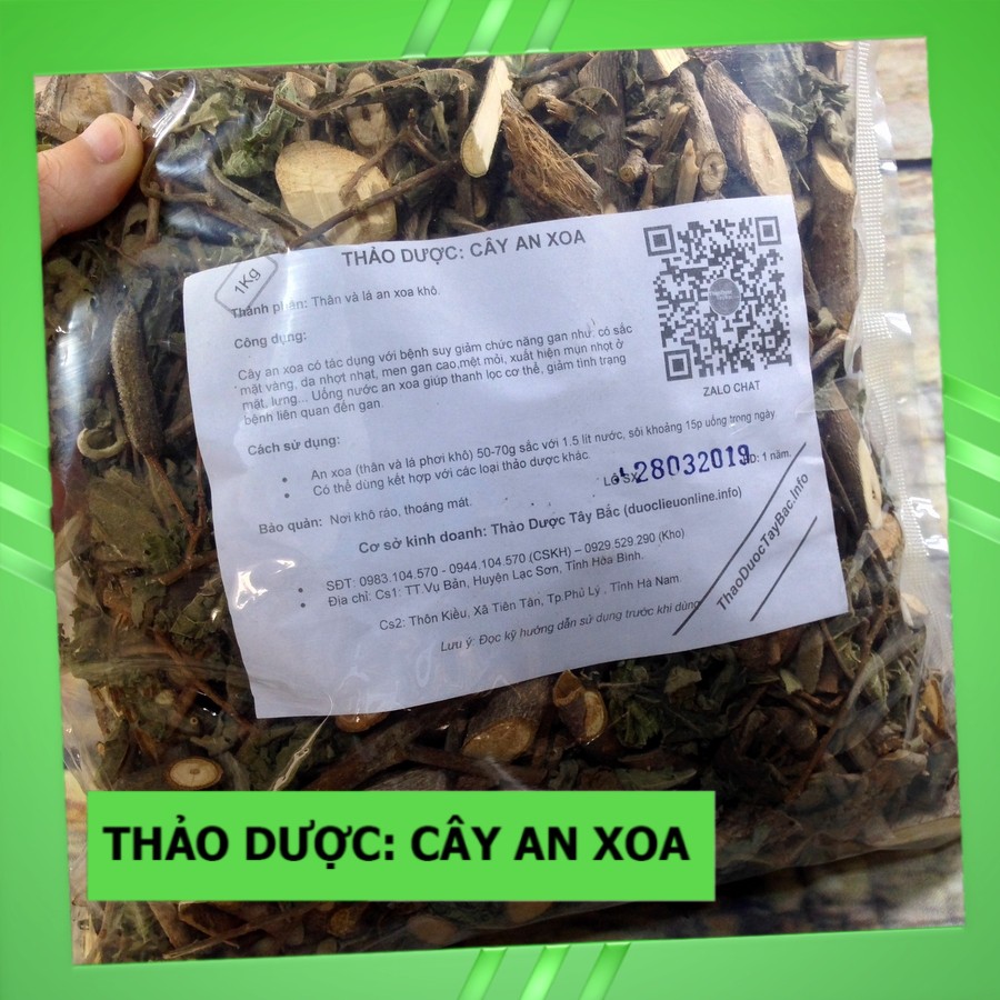 Cây An Xoa Thuốc Nam 💟FREESHIP💟 Giảm Ngay 20K Khi Nhập [DUOCL20K]